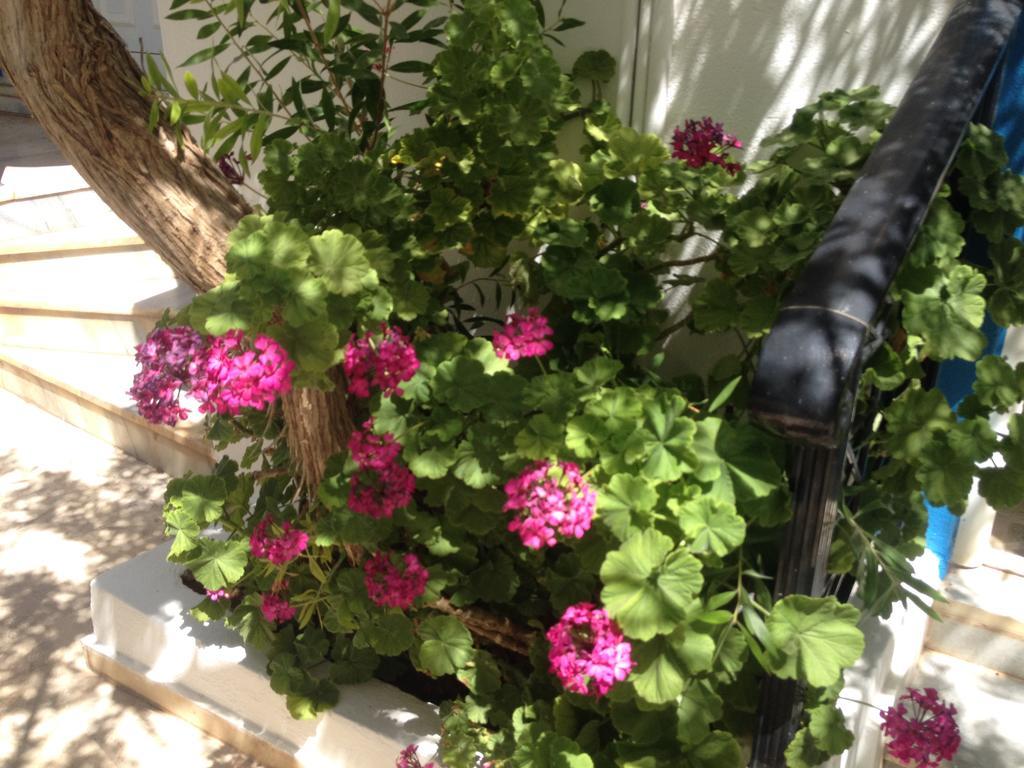 Creta Sun Apartments Makry Gialos  Exterior photo